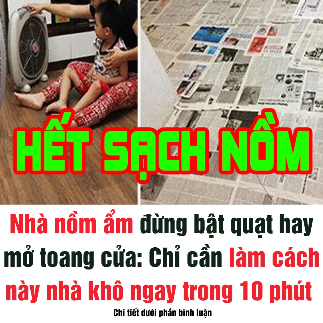 Nhà nồm ẩm đừng bật quạt hay mở toang cửa: Chỉ cần làm cách này nhà khô ngay trong 10 phút