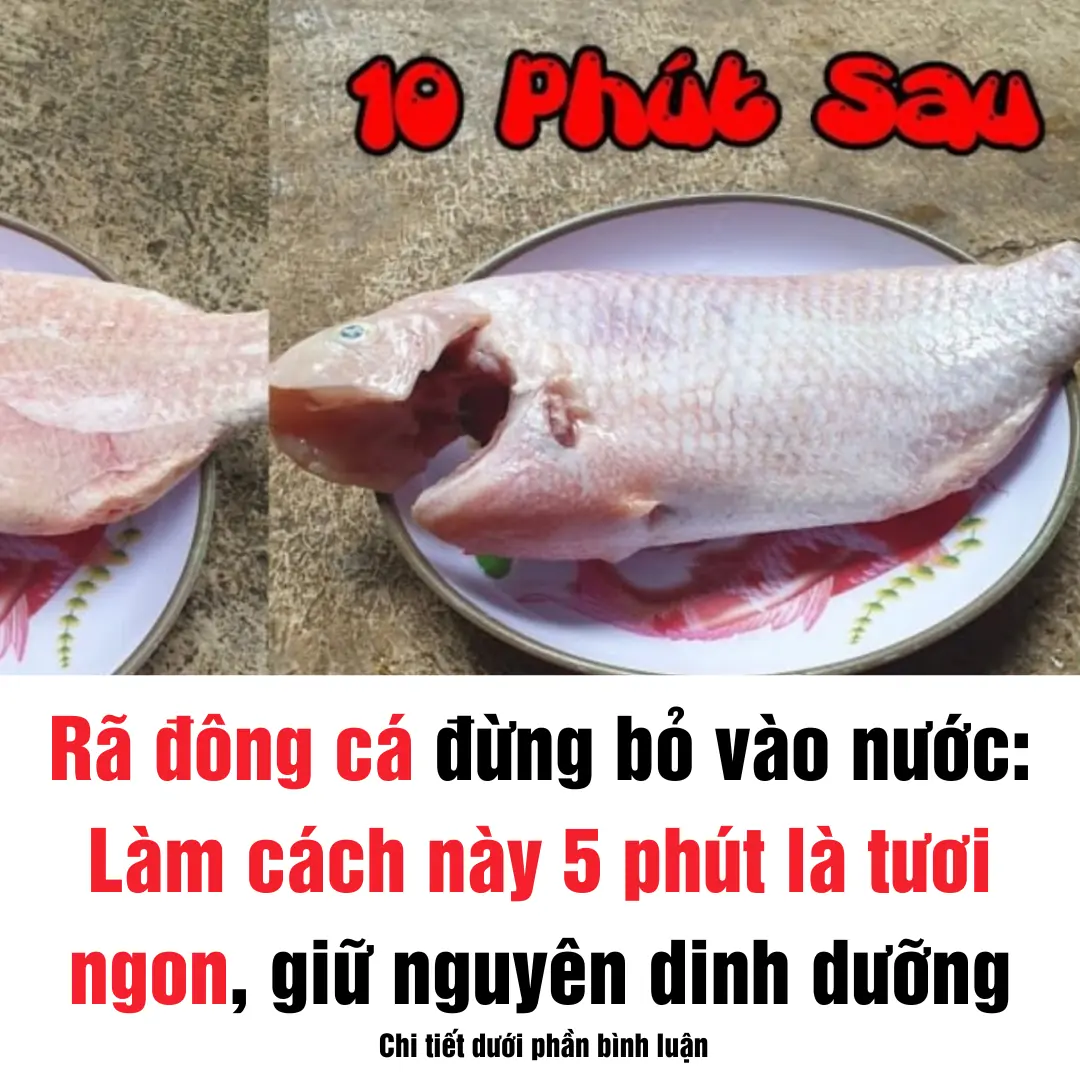 Rã đông cá đừng ngâm vào nước, có cách khác làm tan đá trong vài phút