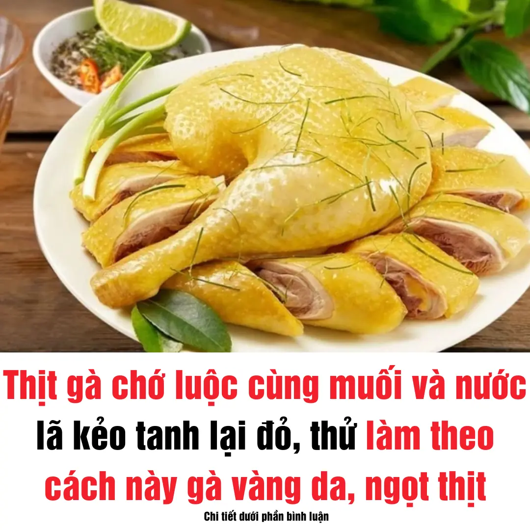 Thịt gà chớ luộc cùng muối và nước lã kẻo tanh lại đỏ, thử làm theo cách này gà vàng da, ngọt thịt