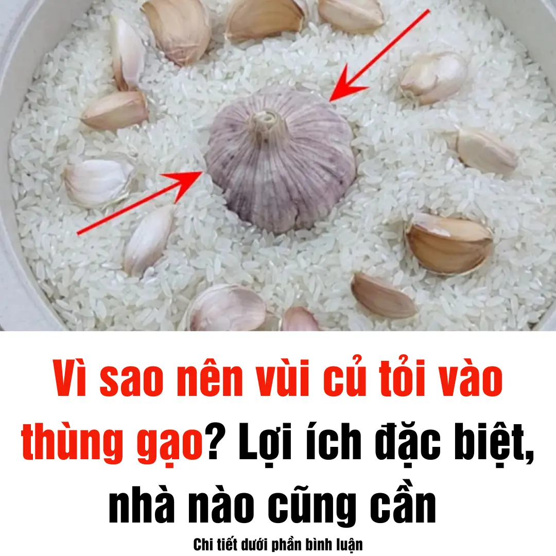 Vì sao nên vùi củ tỏi vào thùng gạo? Lợi ích đặc biệt, nhà nào cũng cần