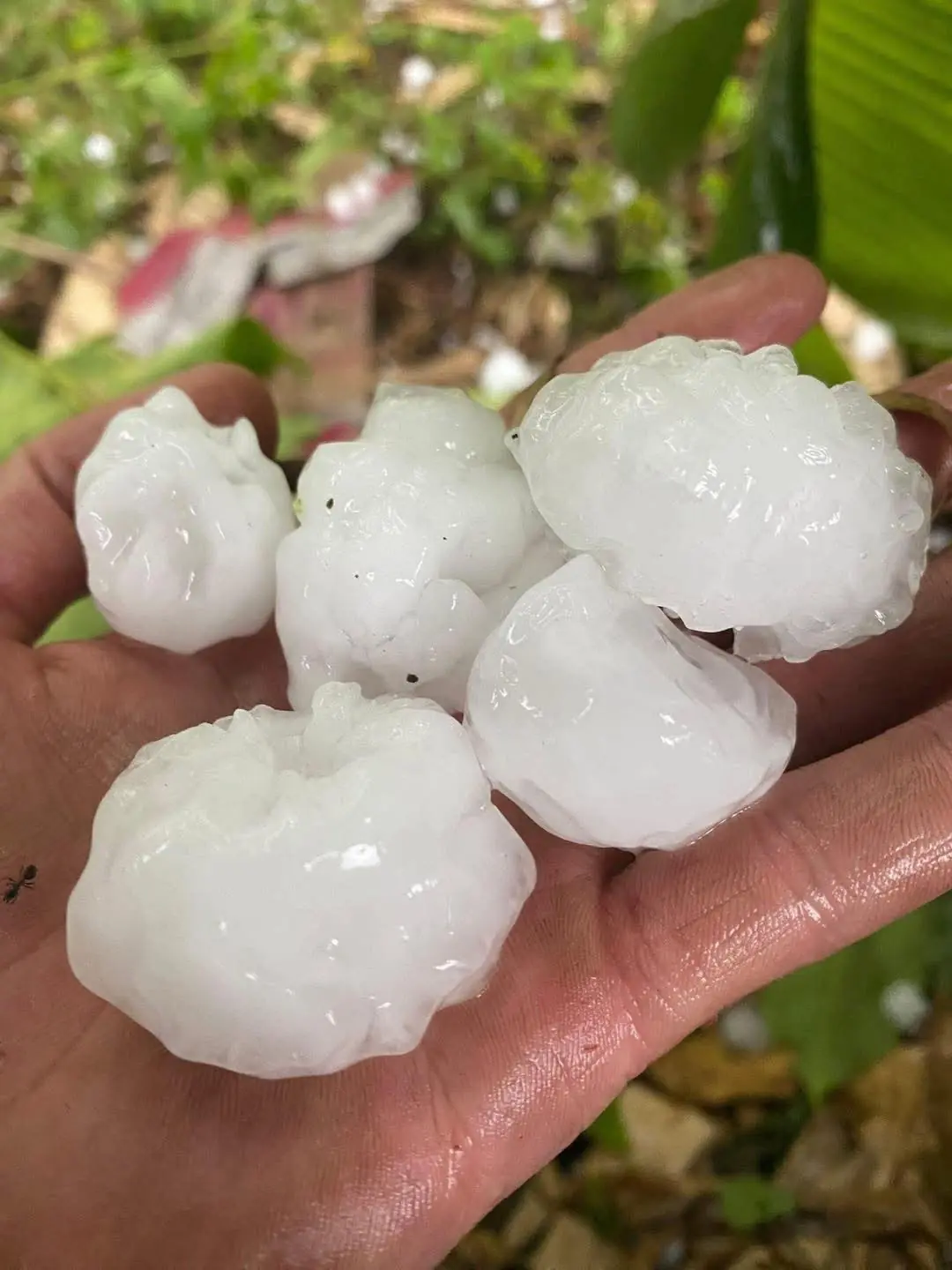 Mưa đá như trút ở Hà Giang và Cao Bằng