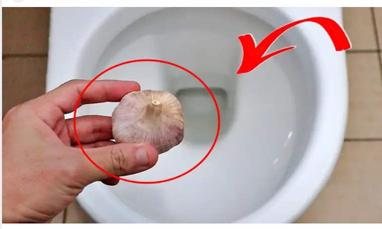 Vì sao nên thả 1 tép tỏi vào bồn cầu vào ban đêm? Biết công dụng, nhà nào cũng muốn học theo