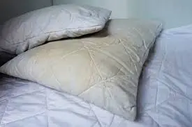 Đem Ruột Gối Ố Vàng Ngâm Với Thứ Này, Bẩn Mấy Cũng Sáng Sạch Như Mới