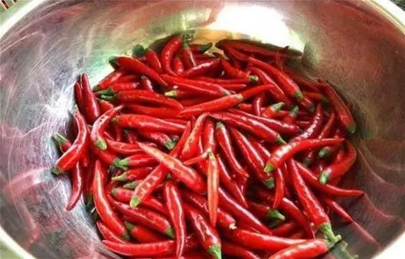 2 cách bảo quản ớt tươi lâu, để cả năm không hỏng