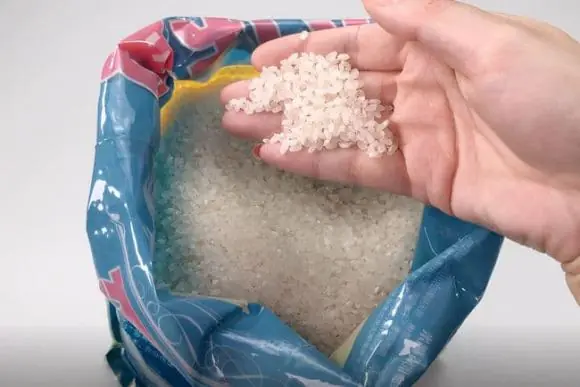 Hóa ra mọt gạo sợ nhất là “nó”, bỏ một ít vào túi gạo để cả năm không lo sâu mọt