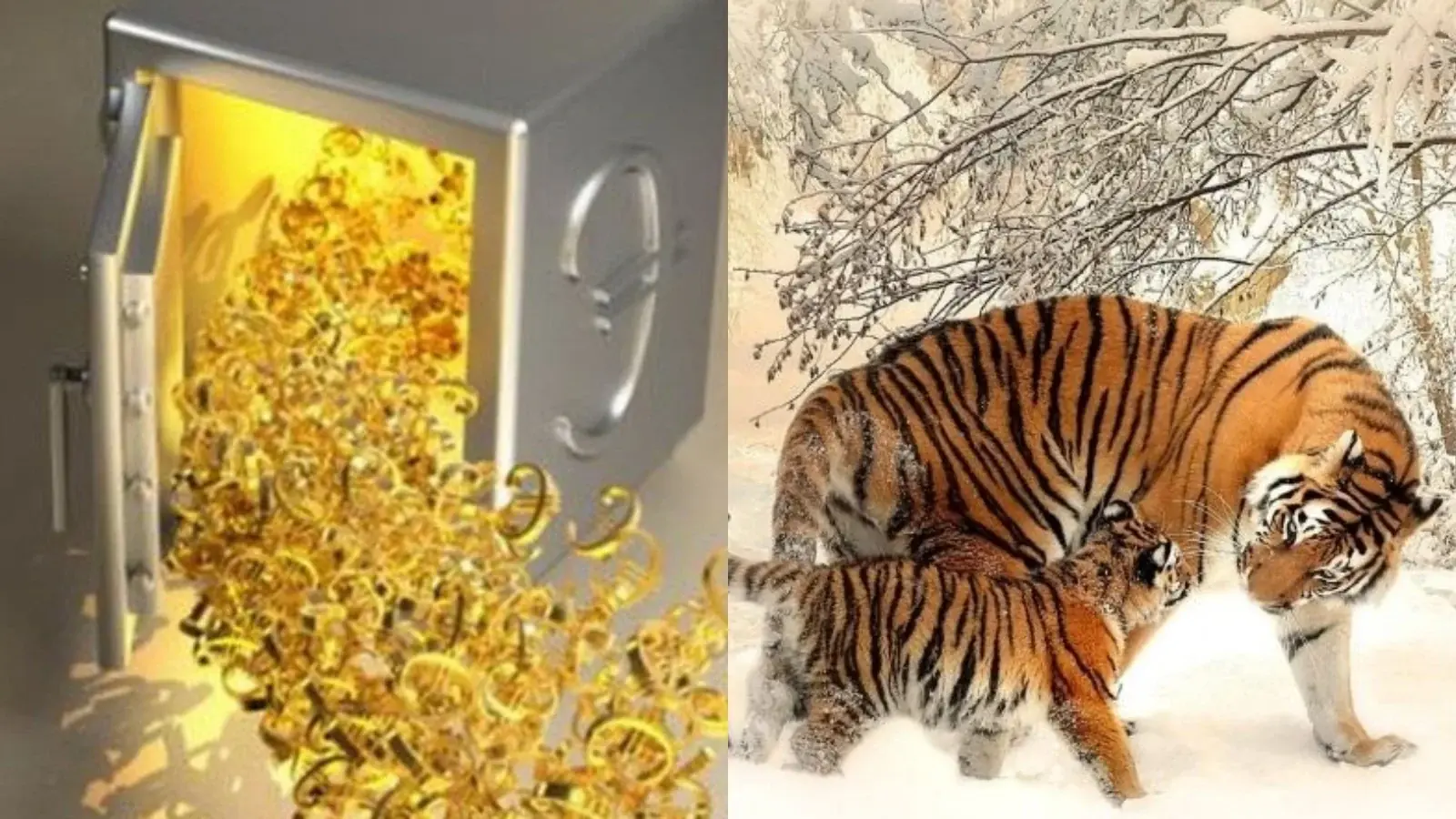 Tháng 5 âm lịch: 3 con giáp bà Chúa Kho gọi tên, Tài Lộc no nê, số 1 đếm tiền mỏi tay