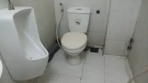 Đặt bó lá này trong nhà vệ sinh: Cả tuần không có mùi hôi, đuổi sạch đàn muỗi, dĩn