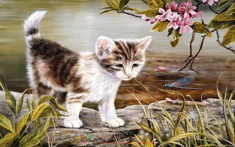 Chuột rơi hũ nếp: Từ ngày mai 3 tuổi này tiền vào như nước, 1 tuổi công danh thăng tiến, tình duyên đỏ thắm